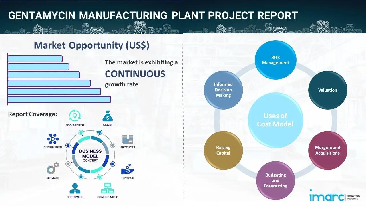 Gentamycin Manufacturing Plant