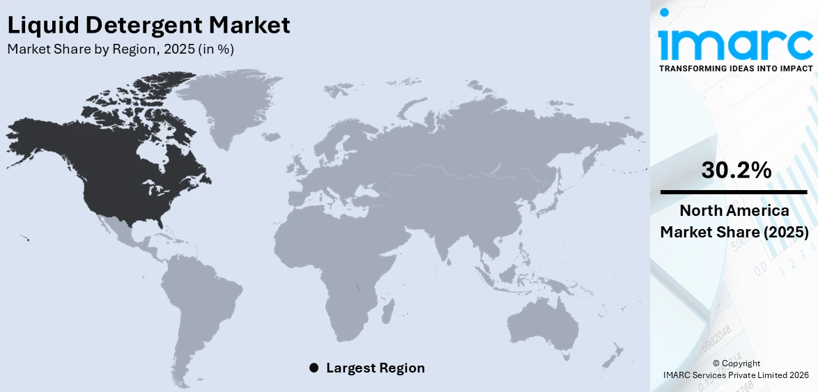 Liquid Detergent Market By Region